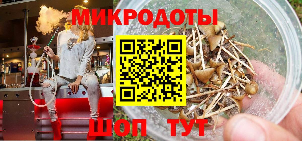 Галлюциногенные грибы прущие грибы Волхов